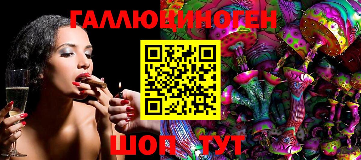 Псилоцибиновые грибы Psilocybine cubensis  Вход с VPN  Нальчик 