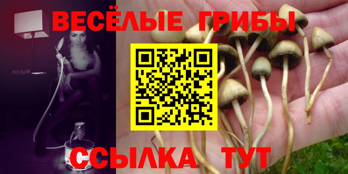 Псилоцибиновые грибы мицелий Нальчик